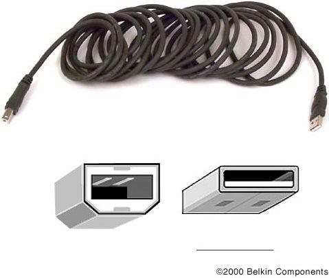 Image du produit Belkin USB 2.0 (3 m, USB 2.0, 2.50 W)