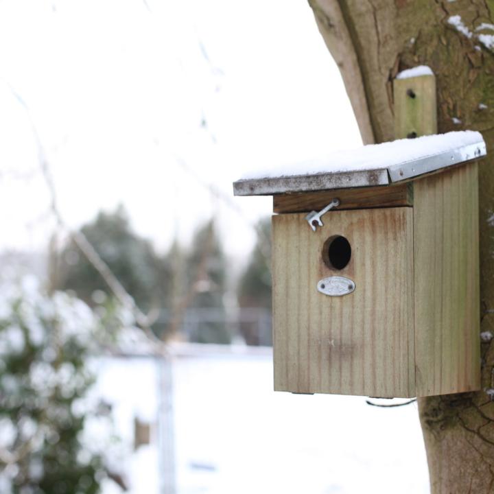 Actual product image Westfalia Great Tit Nest Box