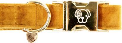 Produktbild Kentucky Dogwear Hundehalsband velvet (L, Hund, Hundesport)