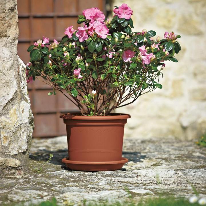 Productafbeelding Euro3plast Plantenbak (25 cm)