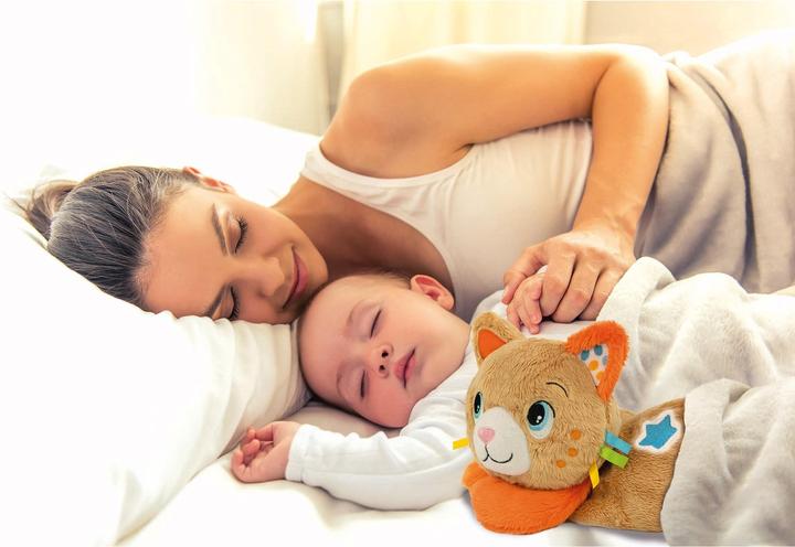 Actual product image Clementoni Baby Kitty Cat Calming Plush