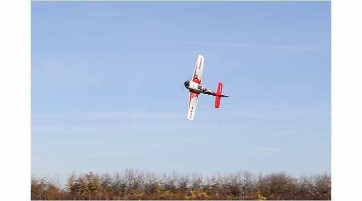 Image du produit Multiplex Race Wulf (Oiseau de guerre)