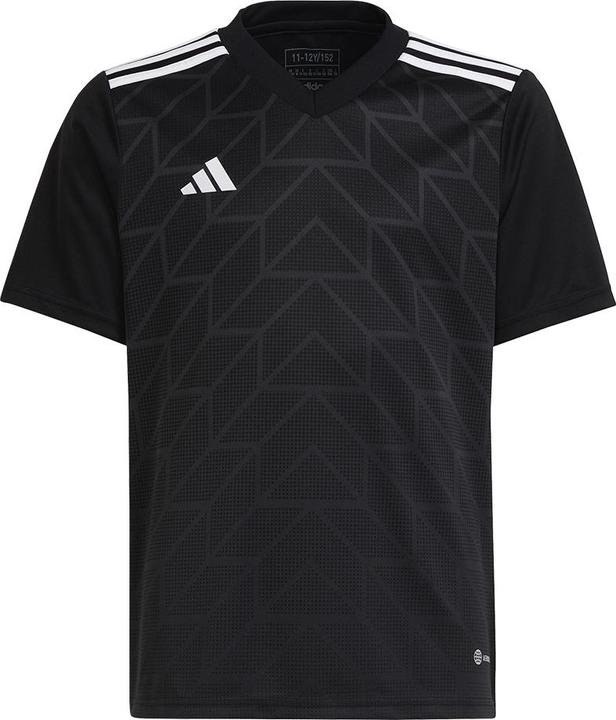 adidas Team Icon 23 Trikot (116)
