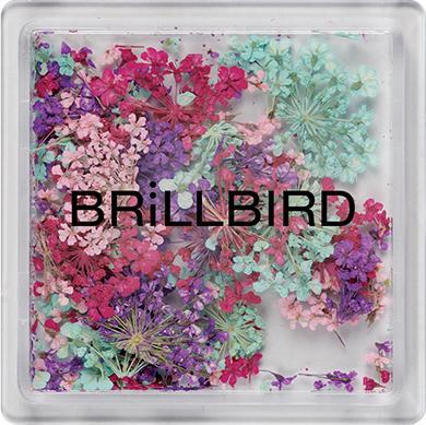 Immagine prodotto BrillBird Mix artistico floreale - Twilight (Twilight, Smalto)
