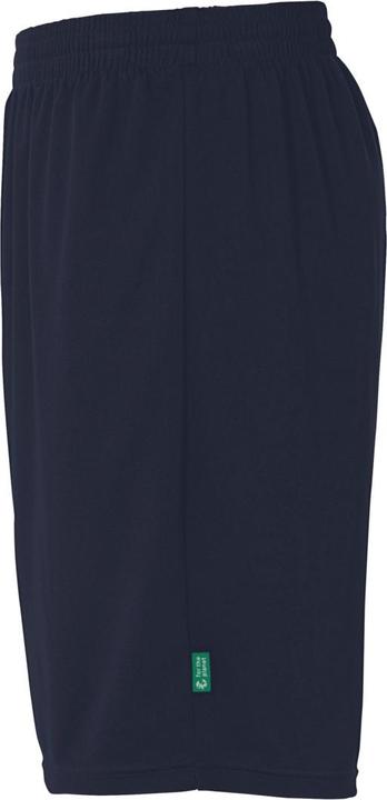 Actual product image Kempa Team Shorts (164)