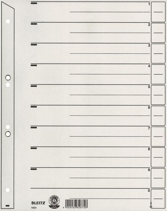 Actual product image Leitz Dividers, A4 extra width, kraft cardboard 200g-qm, gray Blank tabs can be used in different