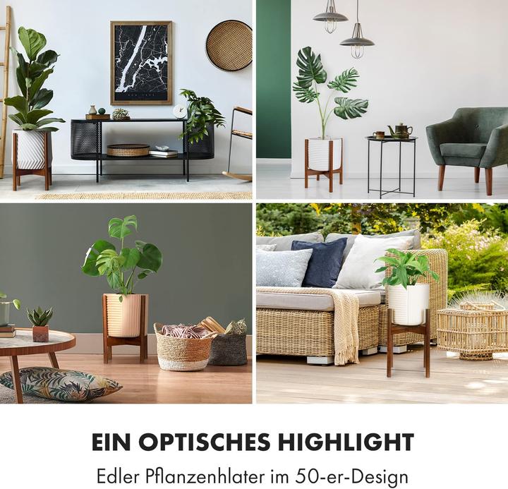 Produktbild Fox & Fern Pflanzenstaender Akazie XL