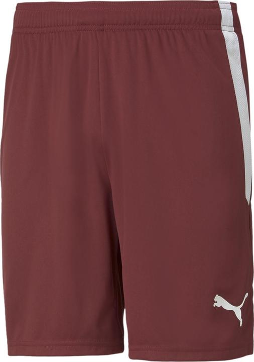Image du produit Puma Short teamLIGA-704924 (XXL)