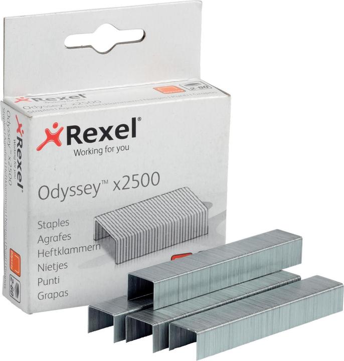 Actual product image Rexel Staples (2500 x)