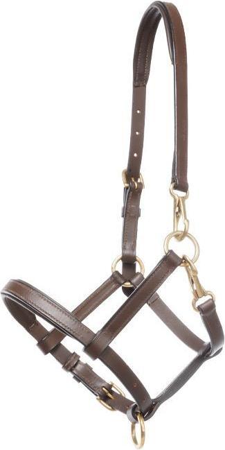Actual product image Kavalkade Halter for leather foal