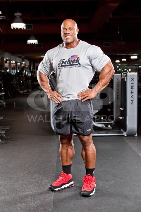 Actual product image Schiek Herren Poly HD T-Shirt (S, 3XL)