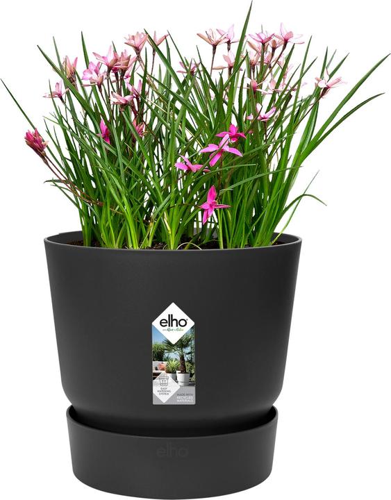 Produktbild Elho Greenville (24.48 cm)