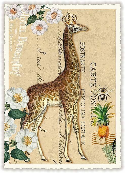 Produktbild Edition Tausendschön Postkarte / Giraffe / hoch / blanko