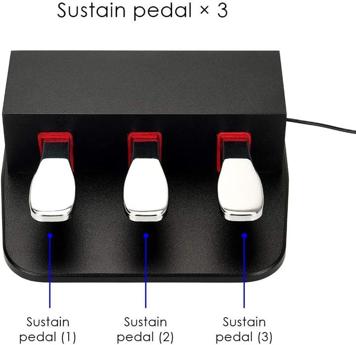 Actual product image AtNeDcVh Piano 3 sustain pedal (Keyboard)