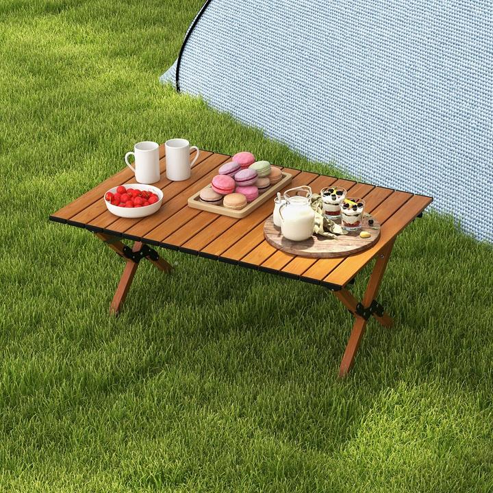 Actual product image Promis Tourist