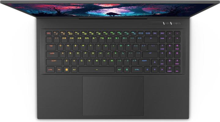 Actual product image Captiva Advanced Gaming I86-099 Core i9 GeForce RTX 4060 (17.30", Intel Core i9-14900HX, 16 GB, 1000 GB, DE)