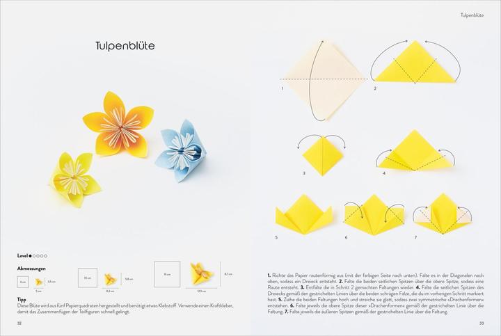Produktbild Das grosse Origami Buch (Deutsch, Adeline Klam, 2024)