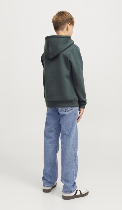 Actual product image Jack & Jones Gedruckt Kapuzenpullover Junior Kapuzenpullover (176)
