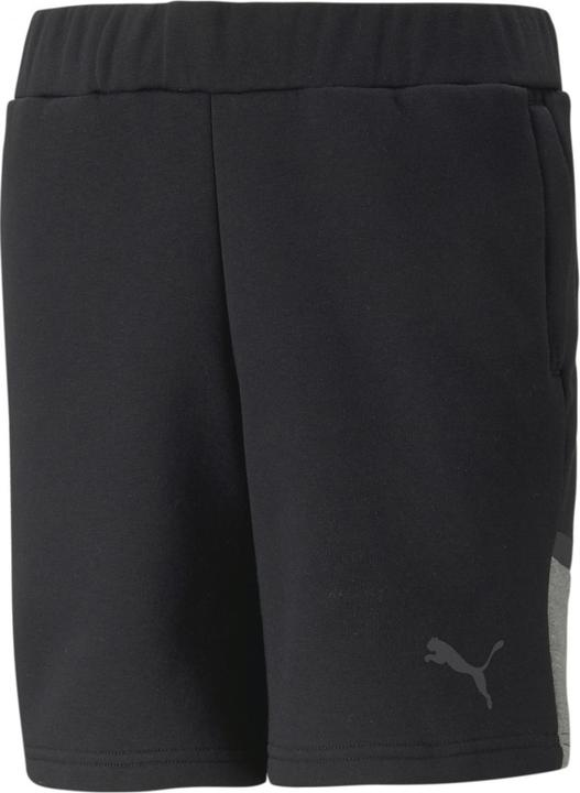 Actual product image Puma teamCUP Casuals Shorts Jr (164)
