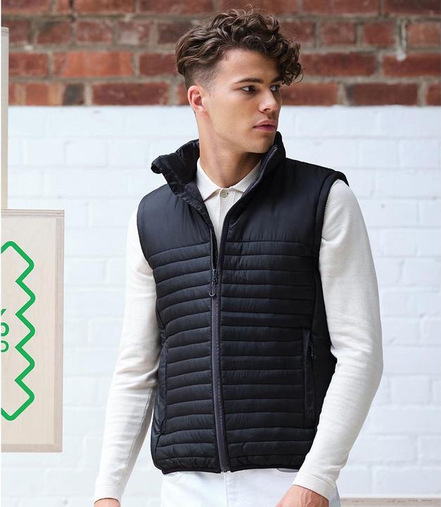 Actual product image Regatta Honestly Made Vest Recycled (L)