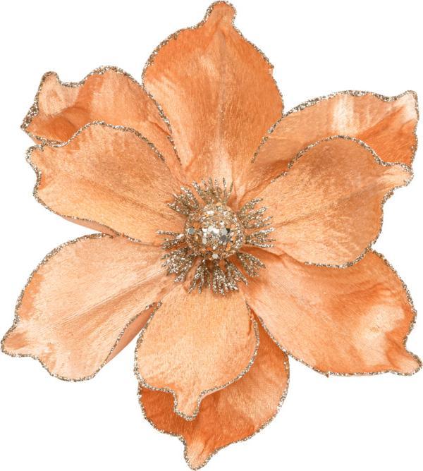 Produktbild pfister Exotica