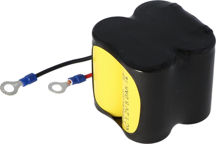 Actual product image AccuCell Akku Ceag CW270
