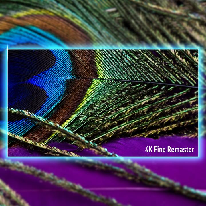 Actual product image Panasonic TV-55W90AEG (55", LCD, UHD, 2024)