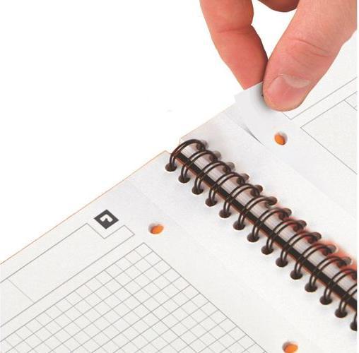Immagine prodotto Oxford Activebook (A4, Quadretti, Copertina morbida)
