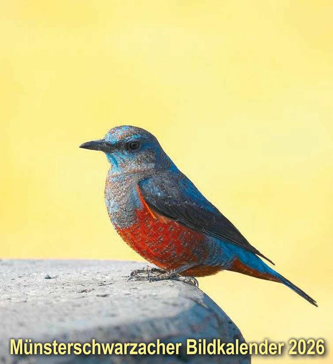 Produktbild Münsterschwarzacher Bildkalender 2026 (22 x 24 cm, Deutsch)