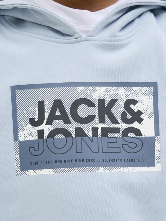 Produktbild Jack & Jones Jcologan Ss24 Print Sweat Hood Sn Jnr (176)