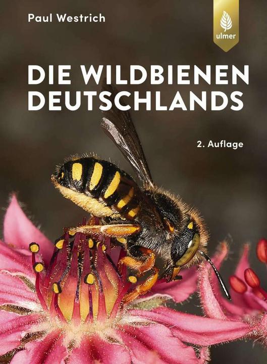 Produktbild Die Wildbienen Deutschlands (Deutsch, Paul Westrich, 2019)