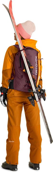 Image du produit Ortovox Free Rider 20 (20 l)