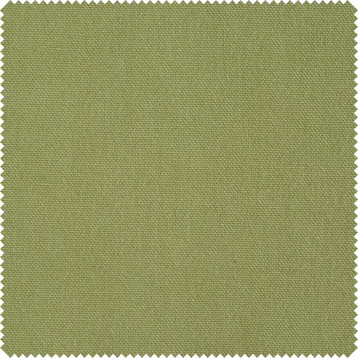 Kaki
