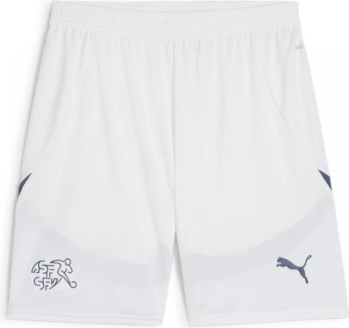 Actual product image Puma SFV Shorts Replica (XL)