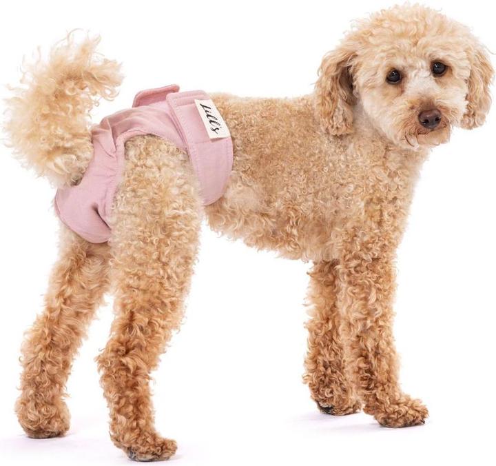 Produktbild Lill's Läufigkeitshöschen aus Bio-Baumwolle Lou (Hund)