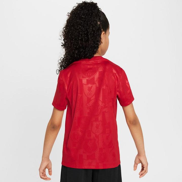 Actual product image Nike Liverpool Academy Pro Top (158, 164, 170)