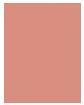 Actual product image Clarins Joli Blush No. 06 - Cheeky Coral (No. 06 - Cheeky Coral)
