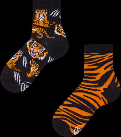 Many Mornings Feet of the Tiger