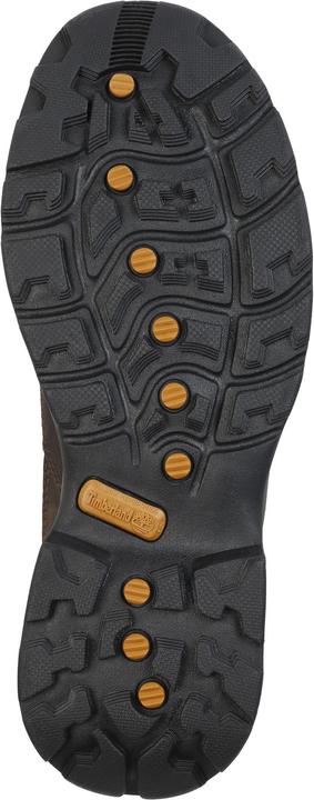 Actual product image Timberland Chocorua Trail Shoes Mid GTX (42)