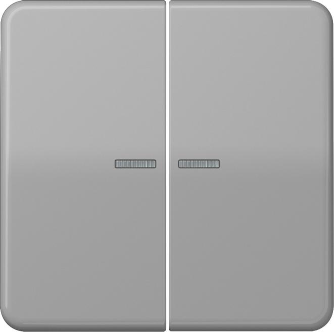 Image du produit JUNG CD10921STRFGR Bouton-poussoir KNX RF