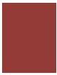 Image du produit Bourjois Rouge Velvet The Lipstick (50 Rouge Tatin)