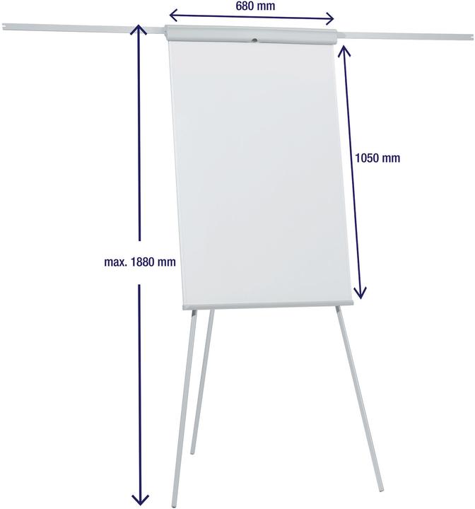 Immagine prodotto Franken Linea Standard Plus (70 x 110 cm)