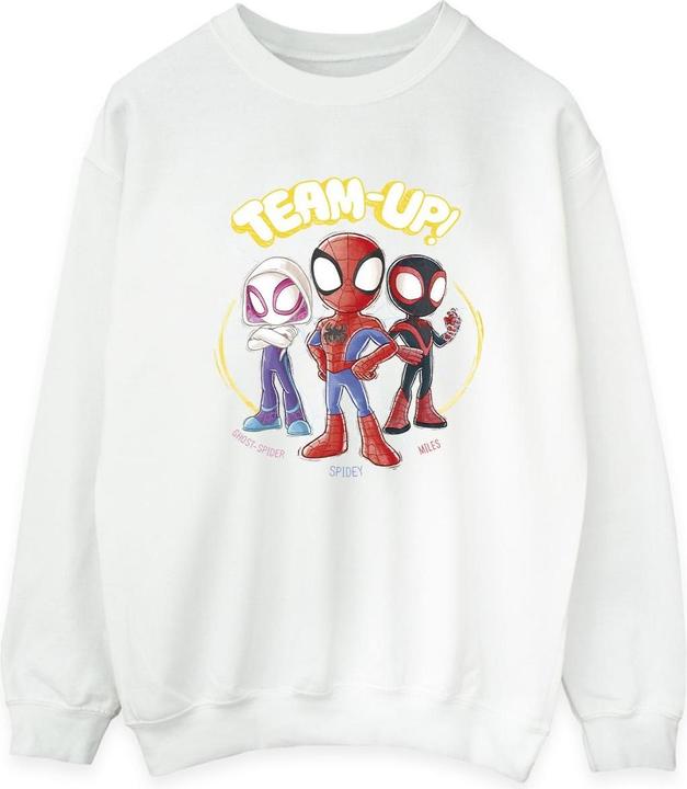 Spidey And His Amazing Friends Sketch Sweatshirt (XXL)