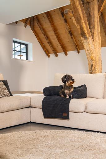 Actual product image Designed by Lotte Ribbed (Dog)
