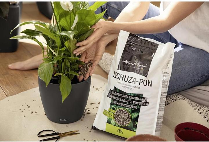 Actual product image Lechuza Pon (6 l)