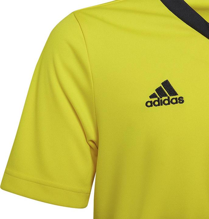 Actual product image adidas Entrada 22 Jersey (164)