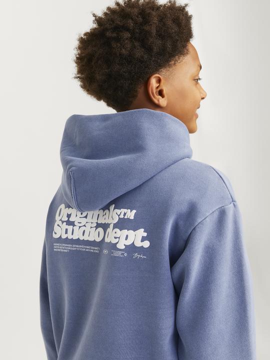 Immagine prodotto Jack & Jones Kapuzensweater JORVERMONT (176)