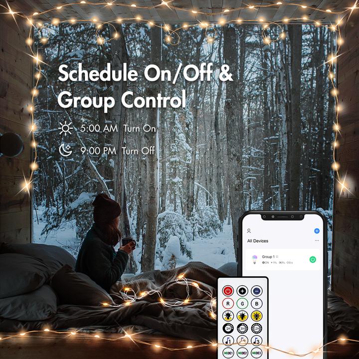 Actual product image LogiLink Wi-Fi Smart RGB light chain with remote control, Tuya compatible, 5 m (5 m)