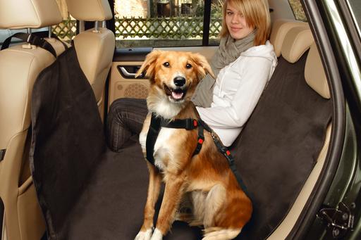Actual product image Karlie Car Safe Easy (Dog, Washable)