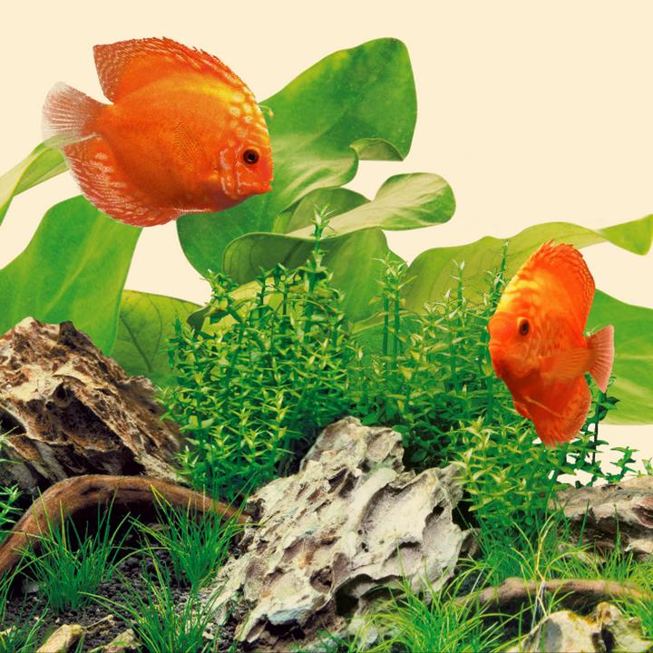 Image du produit Juwel Aquarium LED Nature (LED, 29 W)